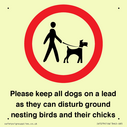 please-keep-all-dogs-on-a-lead-as-they-can-disturb-ground-nesting-birds-and-thei~